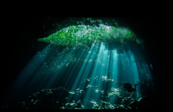 What Happens When Earth’s Ecosystems Reach Their Limit?