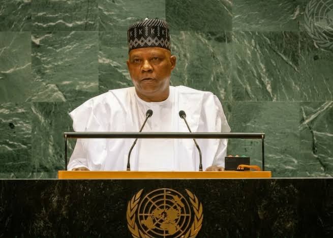 Would Giving Africa Two Permanent Seats Create a New Inequality at the UN?